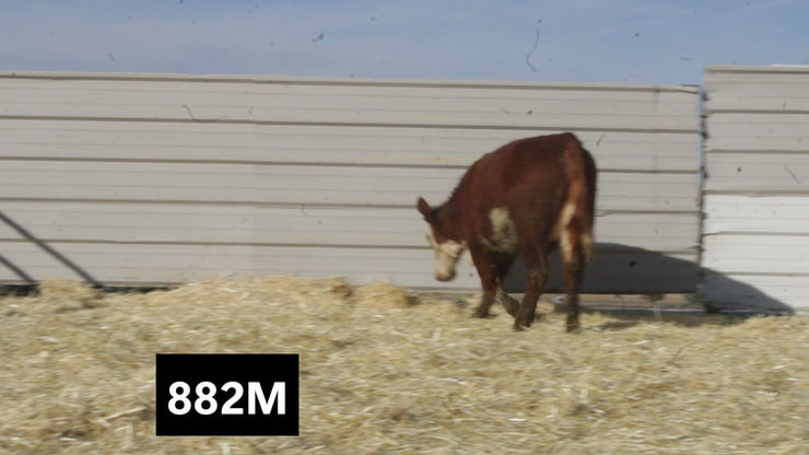 882m - Made with Clipchamp